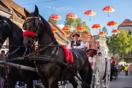 Izjemen obisk zaznamoval 50. Dneve narodnih noš in oblačilne dediščine v Kamniku (Blaž T. Muc)  (128)